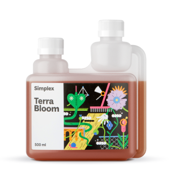 Simplex Terra Bloom